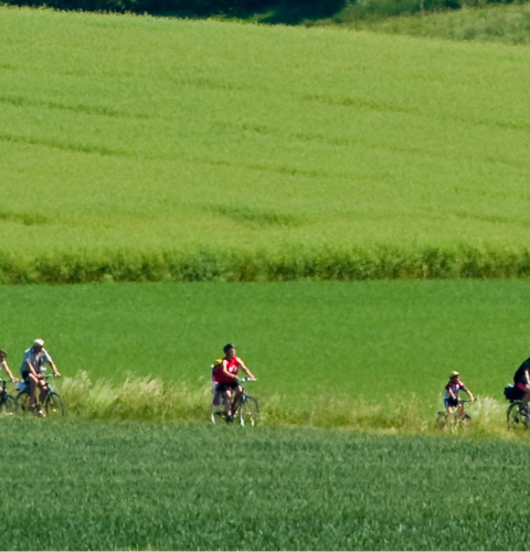 Cyklister ved grønne marker
